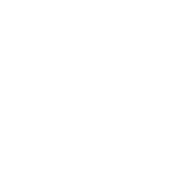 New Earth Customs